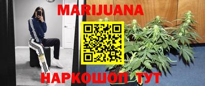 индика Донецк